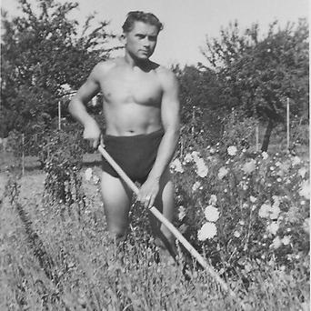 La ferme dans les années 1950-1960