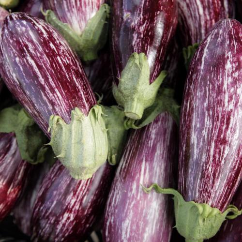 Légumes bio de la ferme